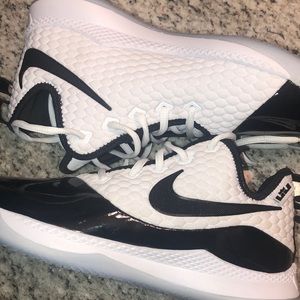 Lebron James (Black and White)